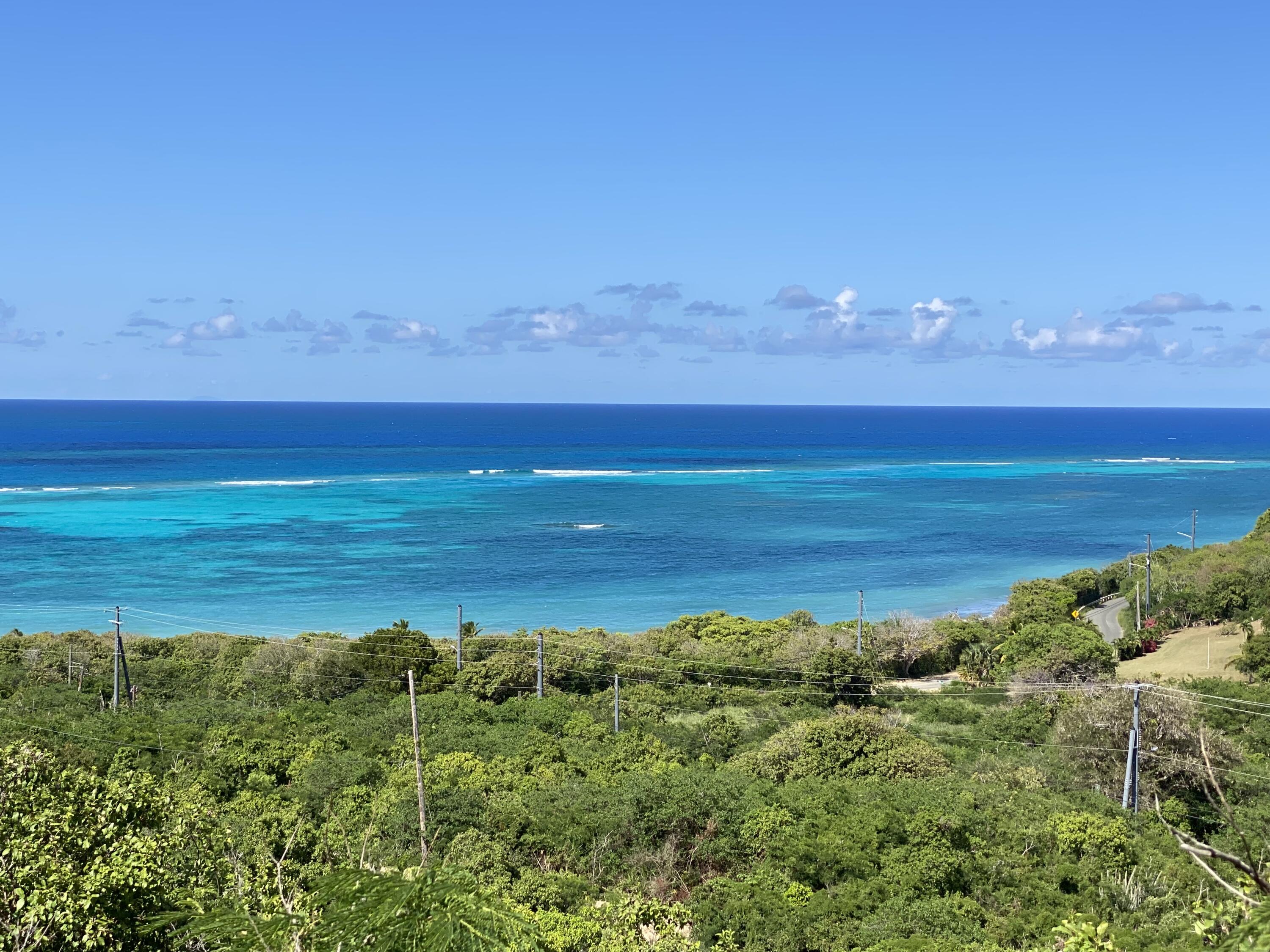 55 North Grapetree EB, St. Croix 00820
